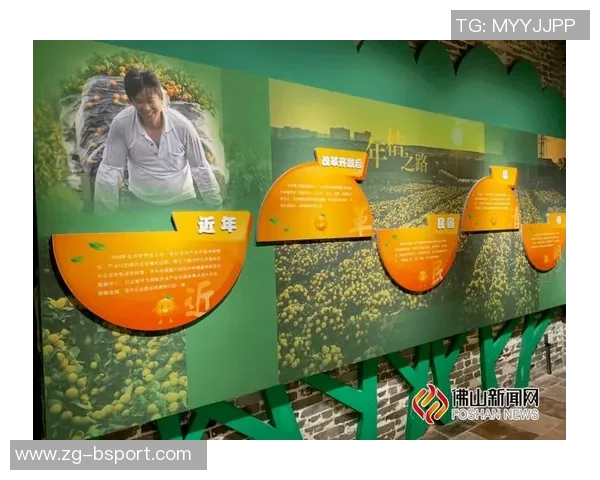 广州排球队的崛起之路：世锦赛背后的奋斗与成长故事